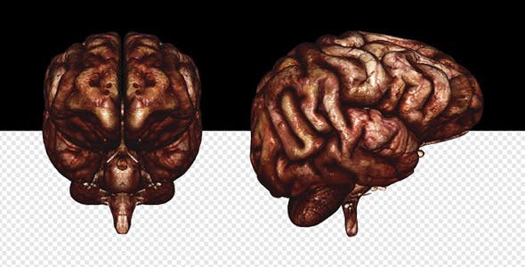 Brain Bloody - Videohive Download 10640676