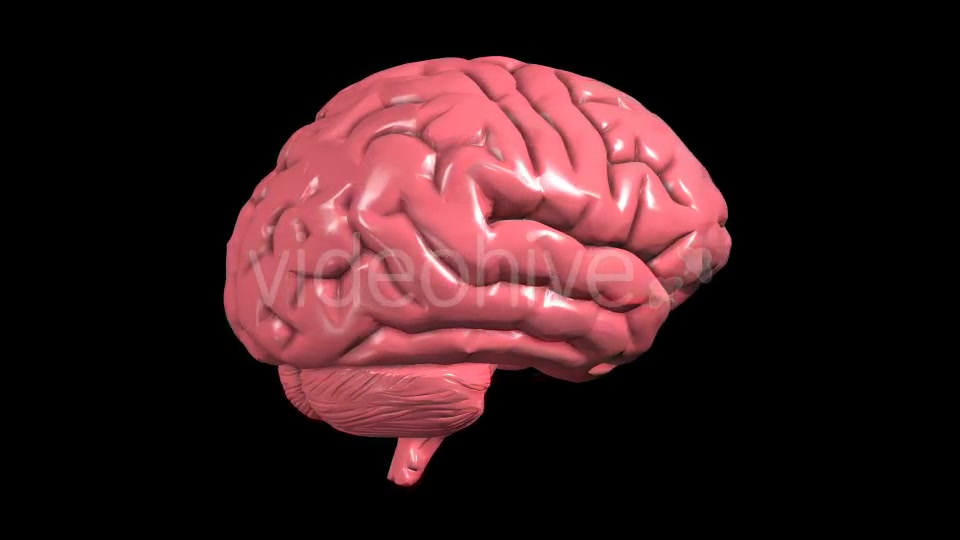 Brain Rotation Videohive 19298954 Motion Graphics Image 10