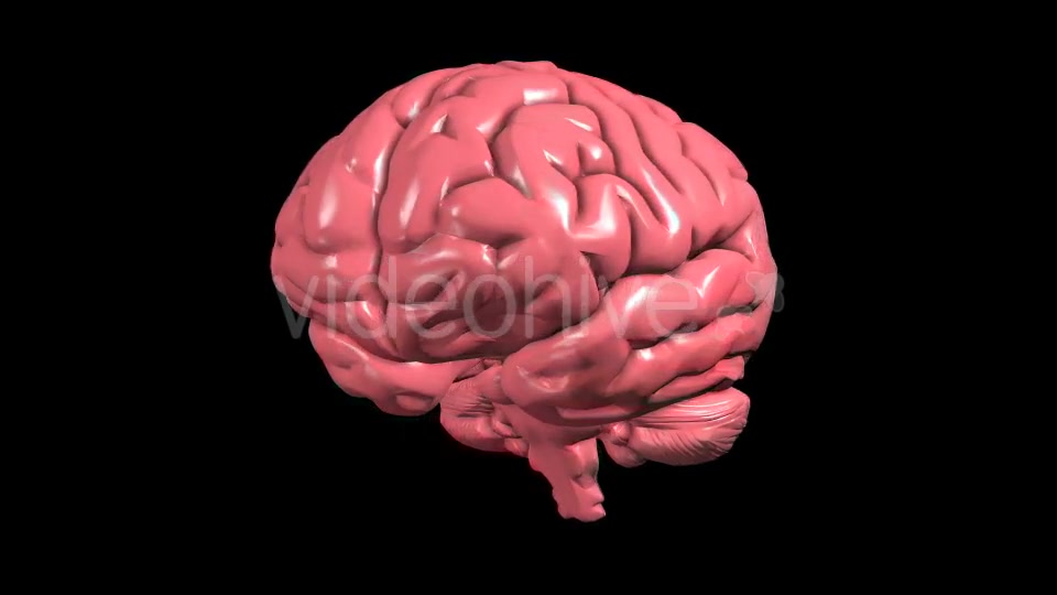 Brain Rotation Videohive 19298954 Motion Graphics Image 4