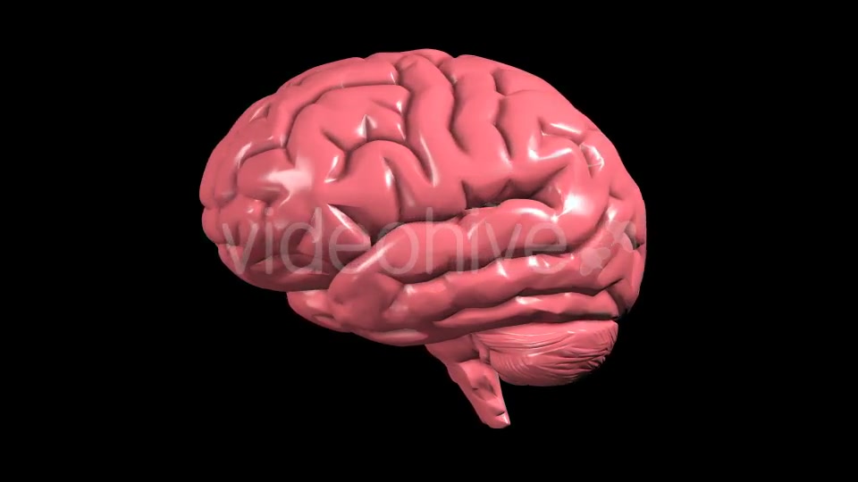 Brain Rotation Videohive 19298954 Motion Graphics Image 5