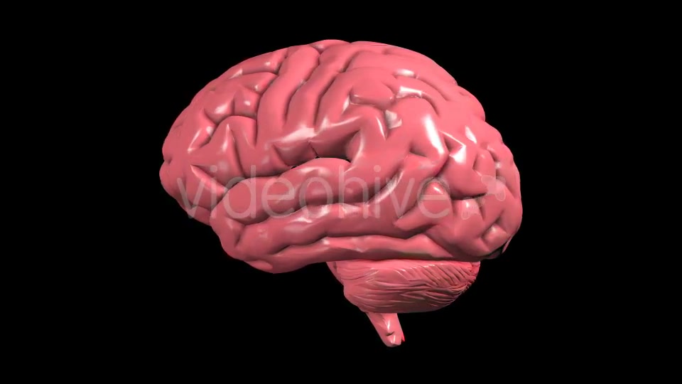 Brain Rotation Videohive 19298954 Motion Graphics Image 6