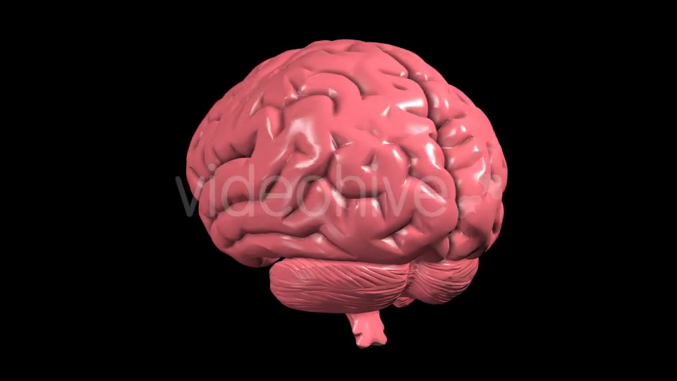 Brain Rotation Videohive 19298954 Motion Graphics Image 7