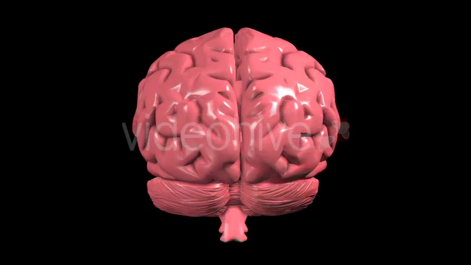 Brain Rotation Videohive 19298954 Motion Graphics Image 8