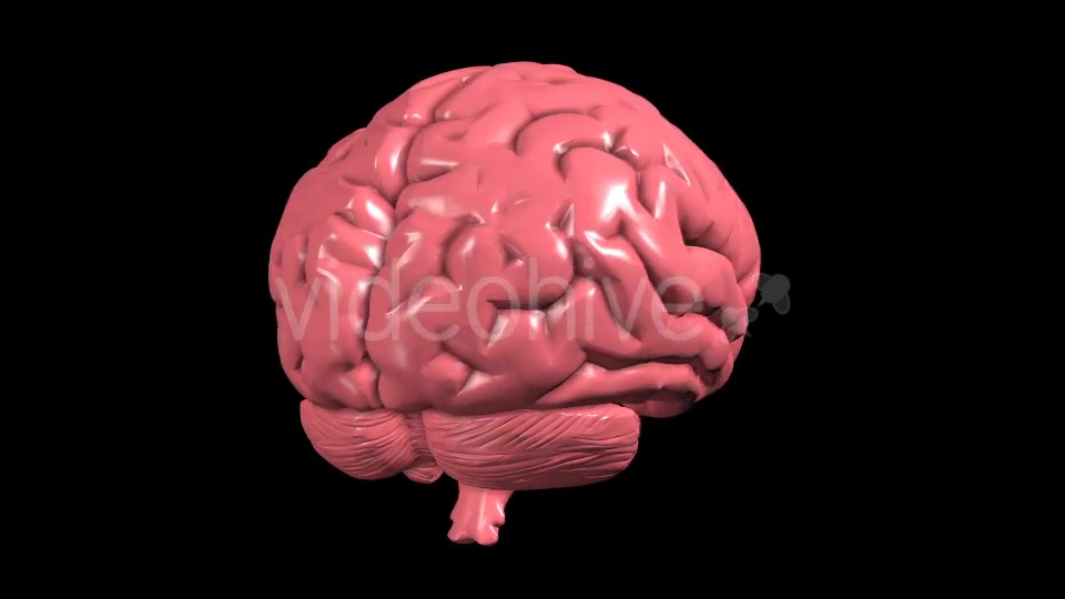 Brain Rotation Videohive 19298954 Motion Graphics Image 9