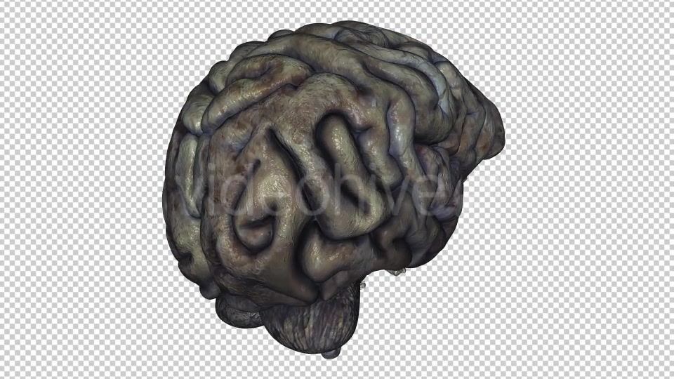 Brain Rotten Videohive 10640598 Motion Graphics Image 4