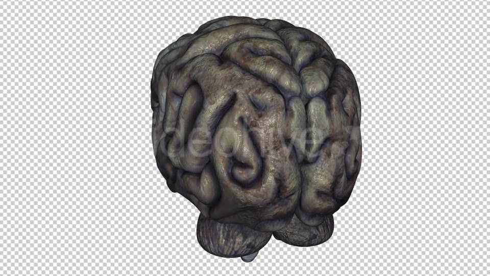 Brain Rotten Videohive 10640598 Motion Graphics Image 6