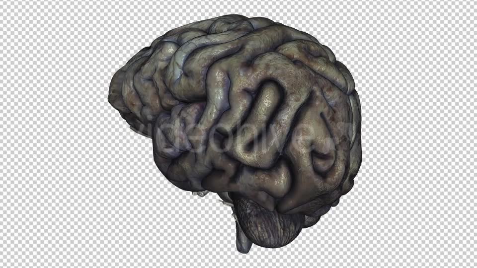Brain Rotten Videohive 10640598 Motion Graphics Image 7