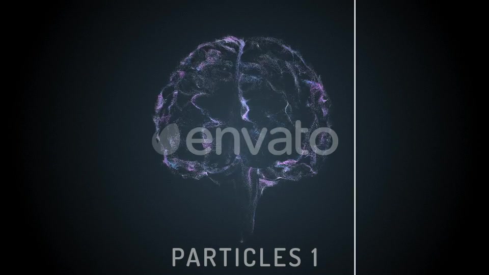 Brain Veins Neurons Videohive 22421456 Motion Graphics Image 10