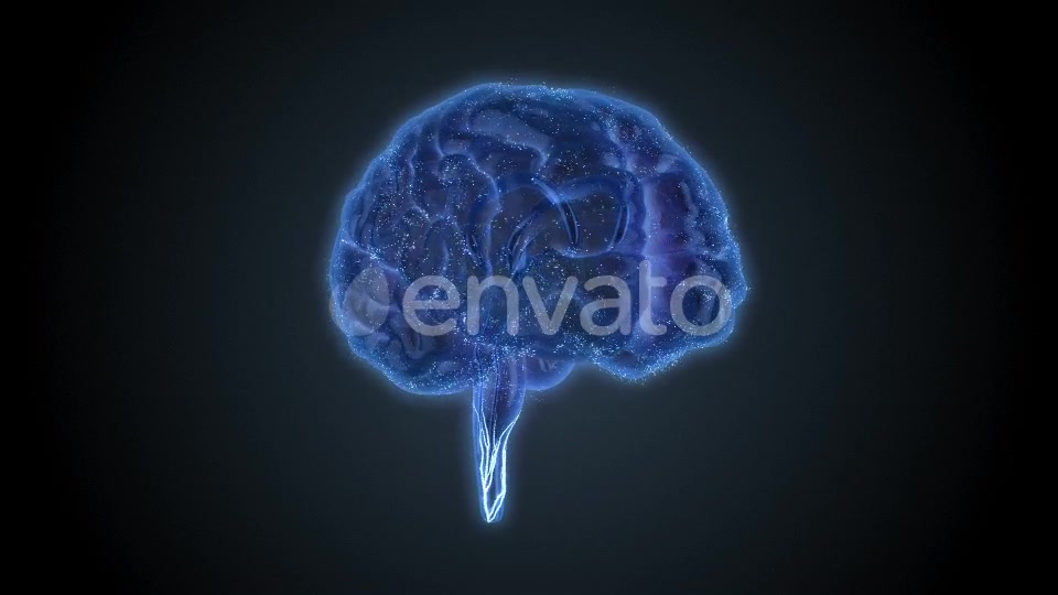 Brain Veins Neurons Videohive 22421456 Motion Graphics Image 2