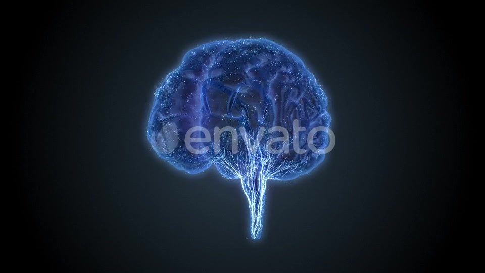 Brain Veins Neurons Videohive 22421456 Motion Graphics Image 3