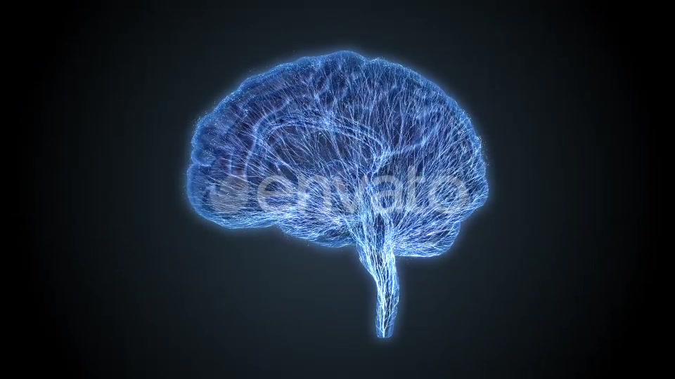 Brain Veins Neurons Videohive 22421456 Motion Graphics Image 4