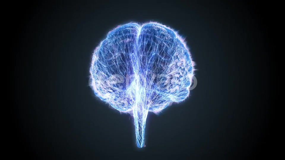 Brain Veins Neurons Videohive 22421456 Motion Graphics Image 6