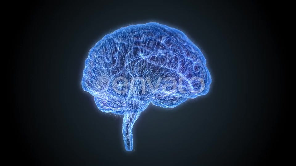 Brain Veins Neurons Videohive 22421456 Motion Graphics Image 7