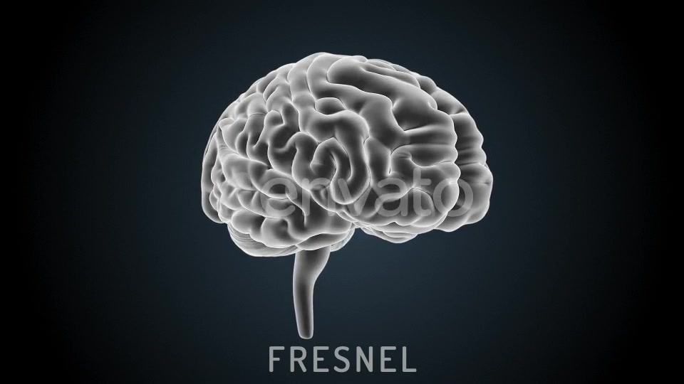Brain Veins Neurons Videohive 22421456 Motion Graphics Image 9