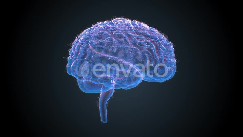 Brains Hologram Videohive 22405238 Motion Graphics Image 1
