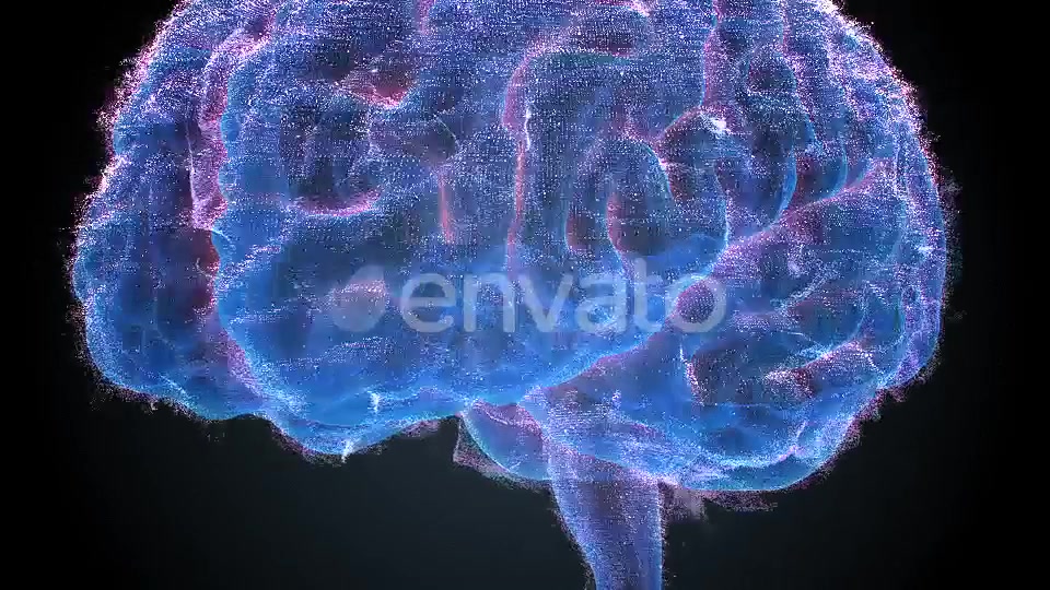 Brains Hologram Videohive 22405238 Motion Graphics Image 10