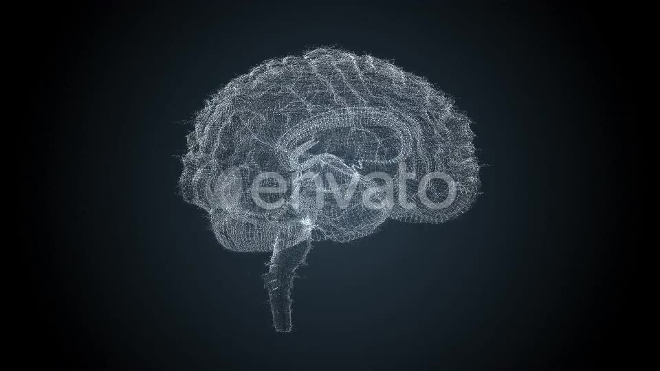 Brains HUD Videohive 22525196 Motion Graphics Image 1