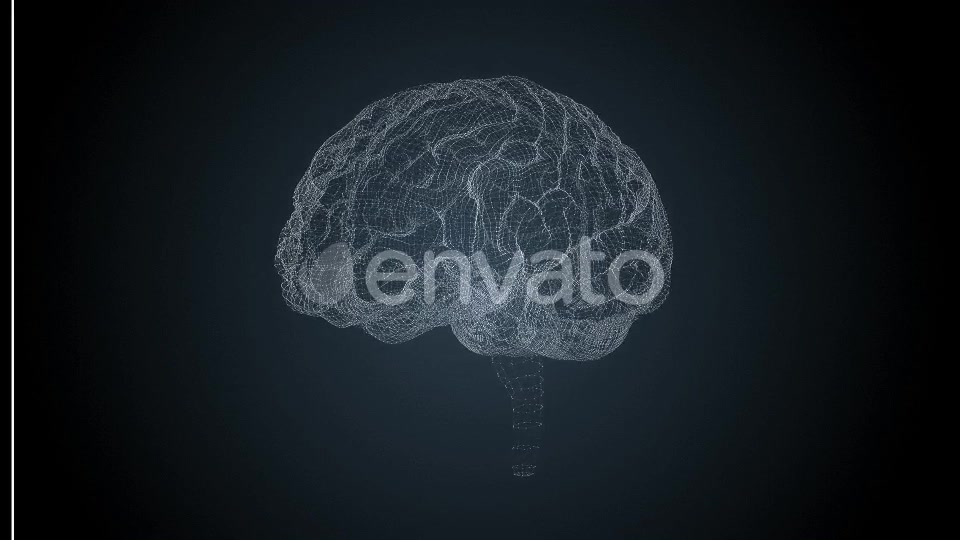 Brains HUD Videohive 22525196 Motion Graphics Image 10