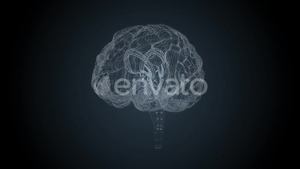 Brains HUD Videohive 22525196 Motion Graphics Image 3
