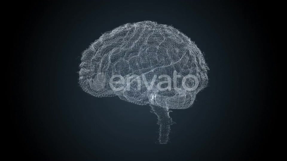 Brains HUD Videohive 22525196 Motion Graphics Image 4