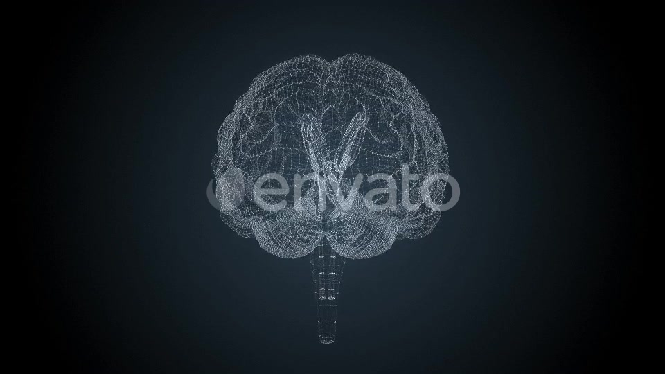 Brains HUD Videohive 22525196 Motion Graphics Image 6