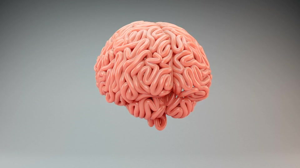 Brains Surface Growth Videohive 22605409 Motion Graphics Image 4