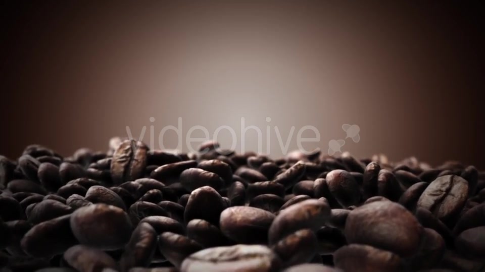 Brown Coffee Beans Videohive 18194953 Motion Graphics Image 3