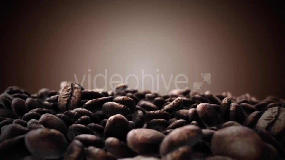 Brown Coffee Beans Videohive 18194953 Motion Graphics Image 4