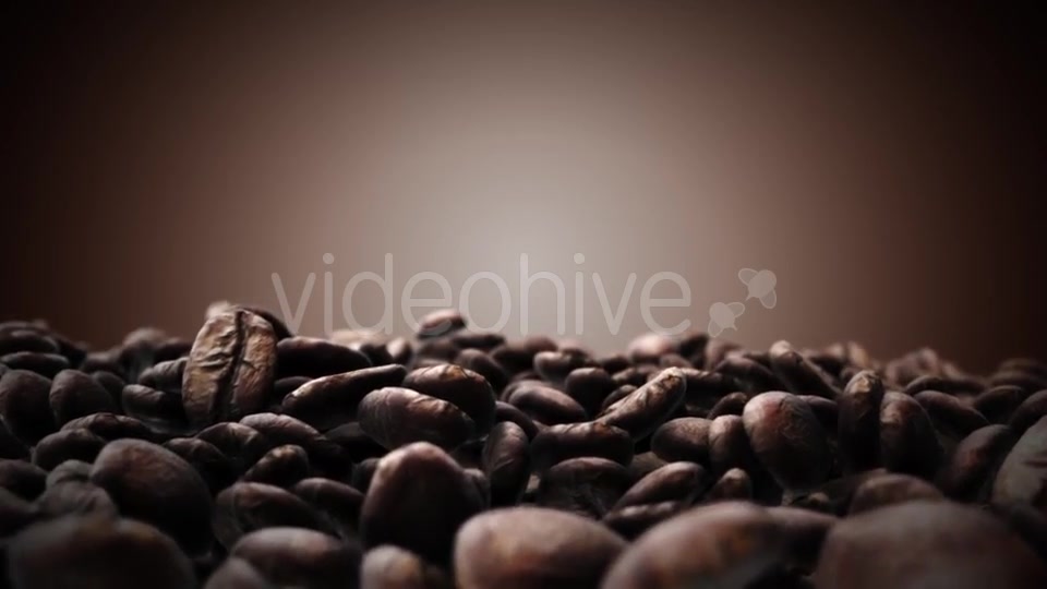 Brown Coffee Beans Videohive 18194953 Motion Graphics Image 5