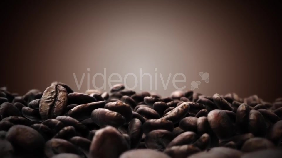 Brown Coffee Beans Videohive 18194953 Motion Graphics Image 6