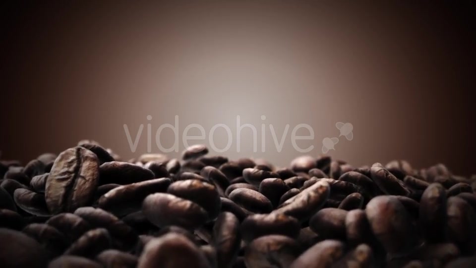 Brown Coffee Beans Videohive 18194953 Motion Graphics Image 7