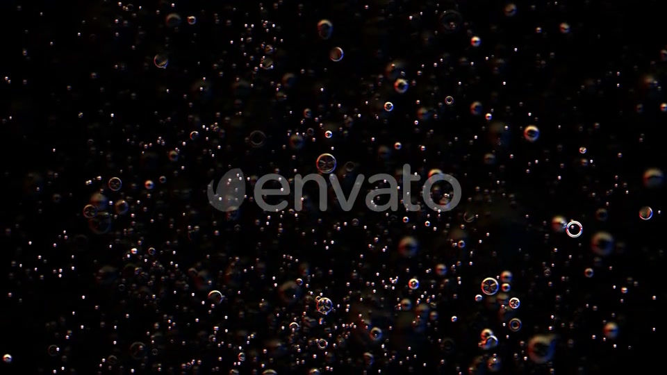 Bubbles Rising Seamless Loop Videohive 22649839 Motion Graphics Image 5