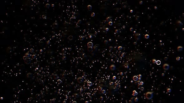 Bubbles Rising Seamless Loop - 22649839 Download Videohive