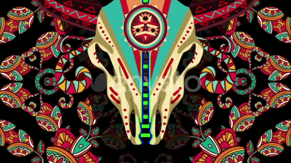 Buffalo Skull Videohive 21517857 Motion Graphics Image 4