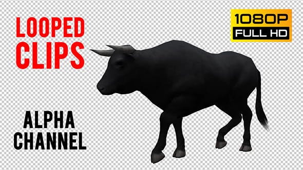 Bull Looped 3 - Download Videohive 20704666