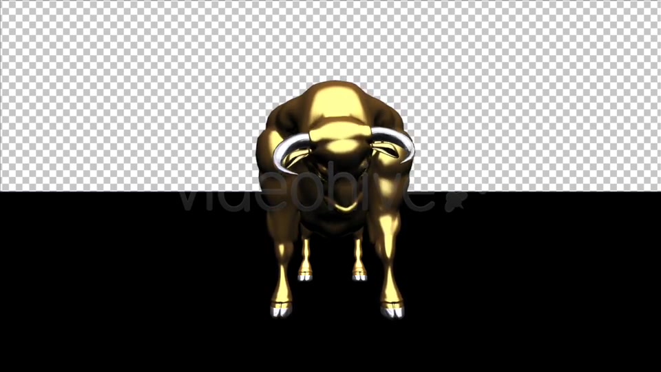 Bull Pack of 2 Videohive 6537216 Motion Graphics Image 10