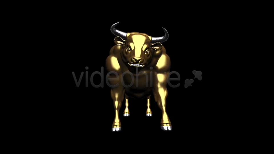 Bull Pack of 2 Videohive 6537216 Motion Graphics Image 11