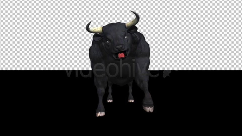 Bull Pack of 2 Videohive 6537216 Motion Graphics Image 5