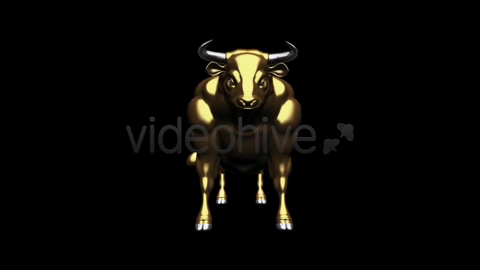 Bull Pack of 2 Videohive 6537216 Motion Graphics Image 7