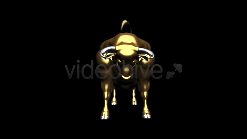 Bull Pack of 2 Videohive 6537216 Motion Graphics Image 8