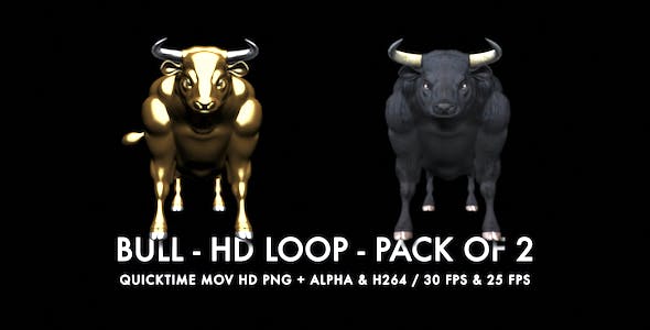 Bull Pack of 2 - Download Videohive 6537216