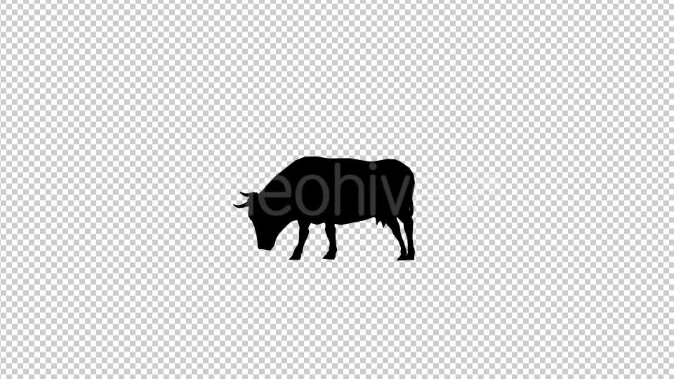 Bull Silhouette Videohive 20474812 Motion Graphics Image 3