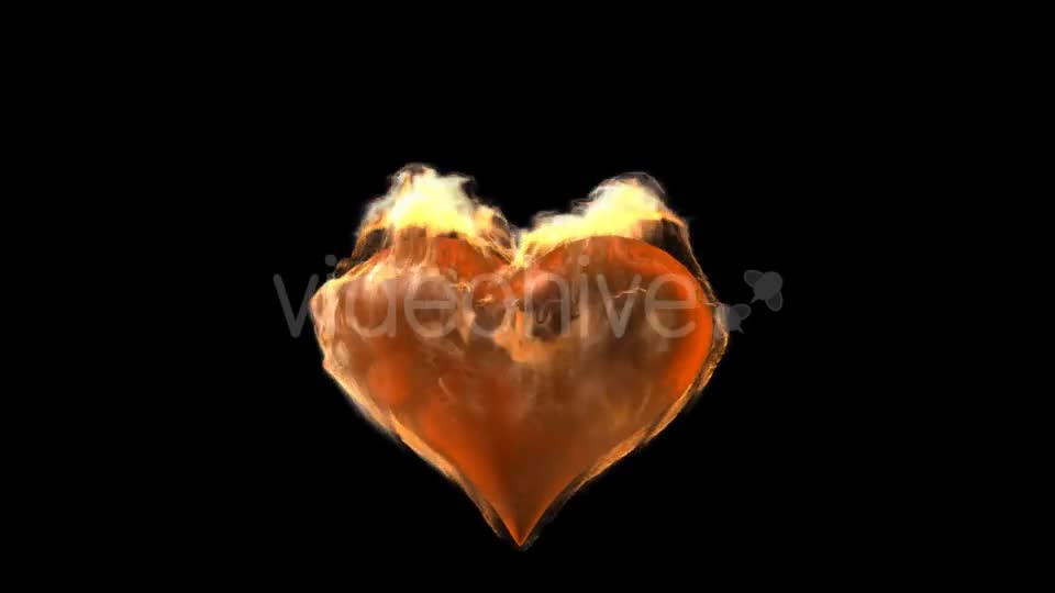 Burning Heart with Alpha Channel Videohive 19027557 Motion Graphics Image 1