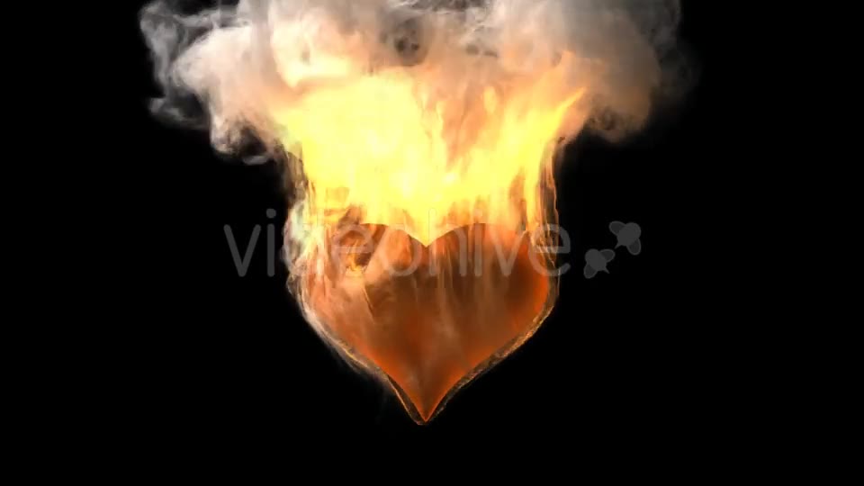 Burning Heart with Alpha Channel Videohive 19027557 Motion Graphics Image 2