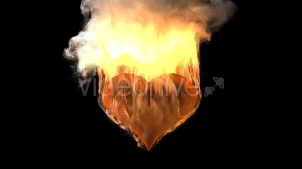 Burning Heart with Alpha Channel Videohive 19027557 Motion Graphics Image 6