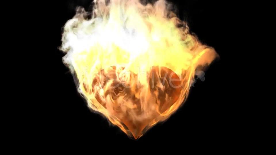 Burning Heart with Alpha Channel Videohive 19027557 Motion Graphics Image 7