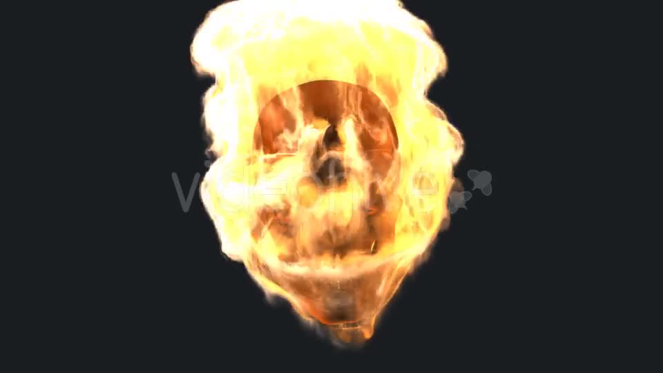 Burning Skull with Alpha Channel Videohive 19027390 Motion Graphics Image 1
