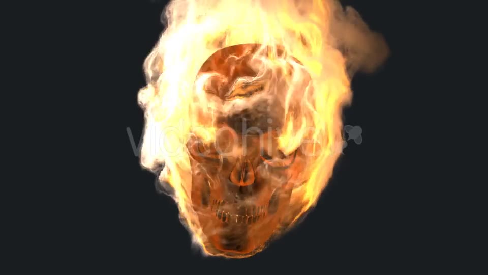 Burning Skull with Alpha Channel Videohive 19027390 Motion Graphics Image 2
