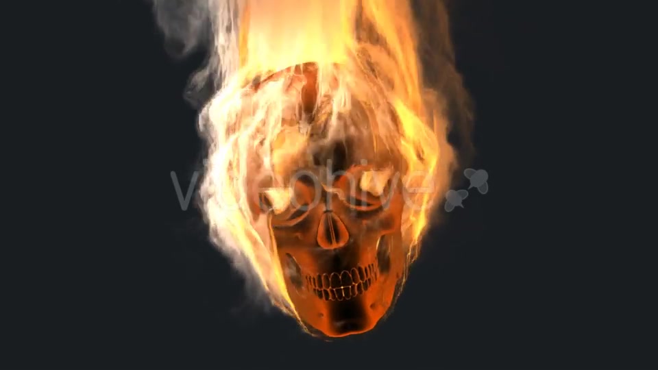 Burning Skull with Alpha Channel Videohive 19027390 Motion Graphics Image 3