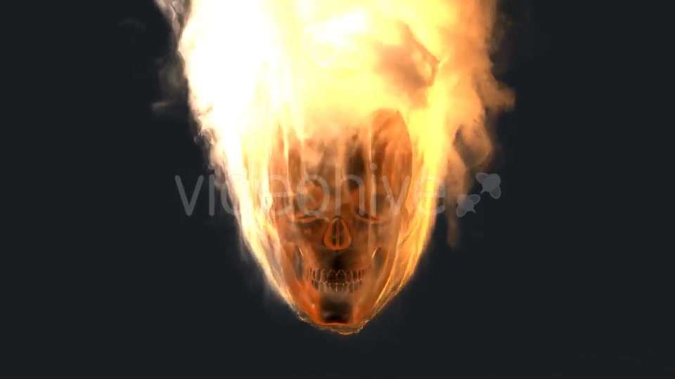 Burning Skull with Alpha Channel Videohive 19027390 Motion Graphics Image 4